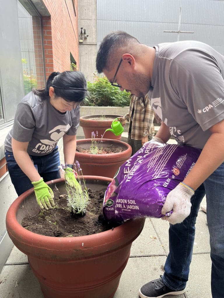 CPABC employees volunteering during the Day of Giving.